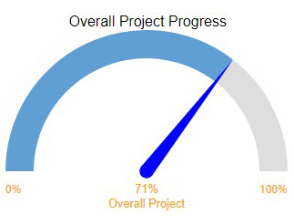 Gauge Chart for tracking progress