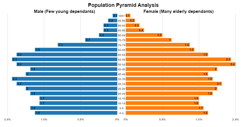 Population Pyramid Types Example 2