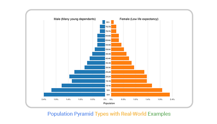 Population Pyramid Types