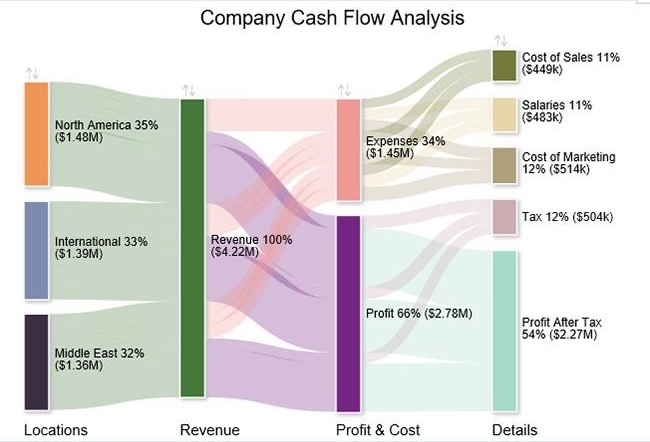 Company Cash Flow